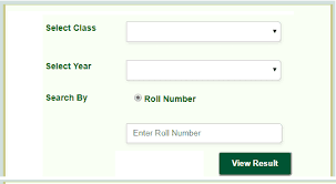 BISE Rawalpindi Board 10th Class Result 2023