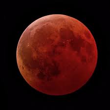 Solar and Lunar Eclipses Worldwide 2024