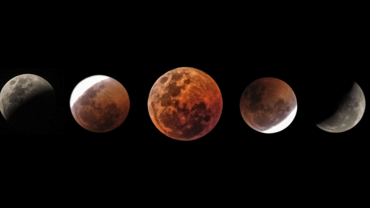 Solar and Lunar Eclipses Worldwide 2024